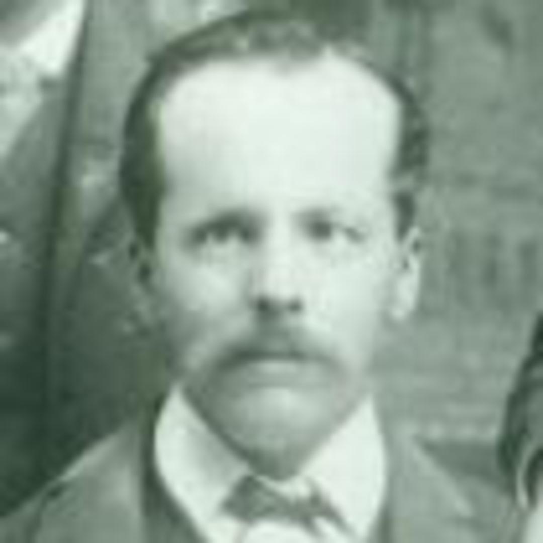 Albert White (1848 - 1902) Profile